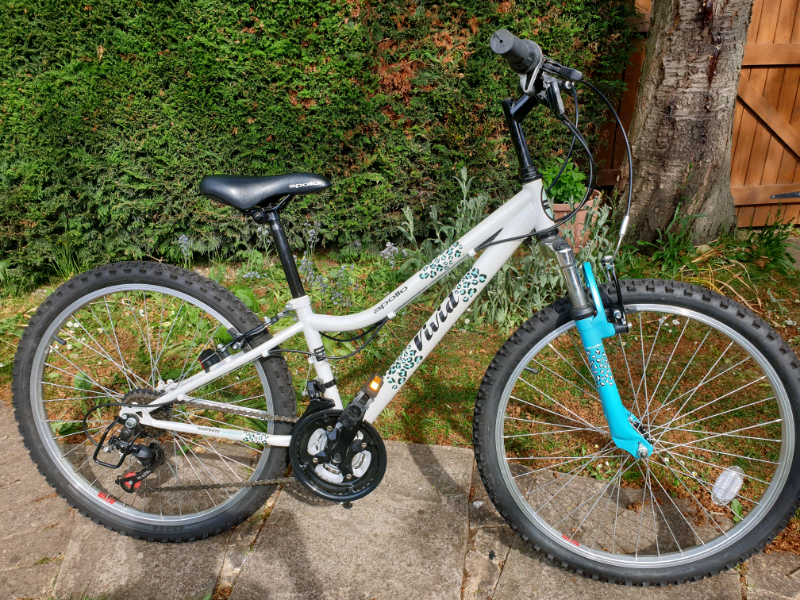 apollo vivid 24